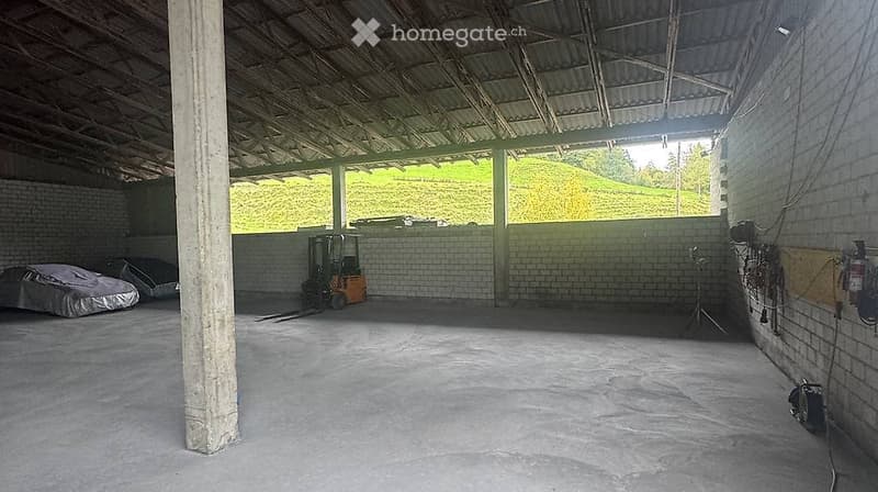 {"visible_features": ["Garage"], "type": "Garage", "objects": [], "description": "Empty garage with concrete floor, brick walls, metal roof, and a covered vehicle in the corner.", "localized_descriptions": {"EN": "Empty garage with concrete floor, brick w