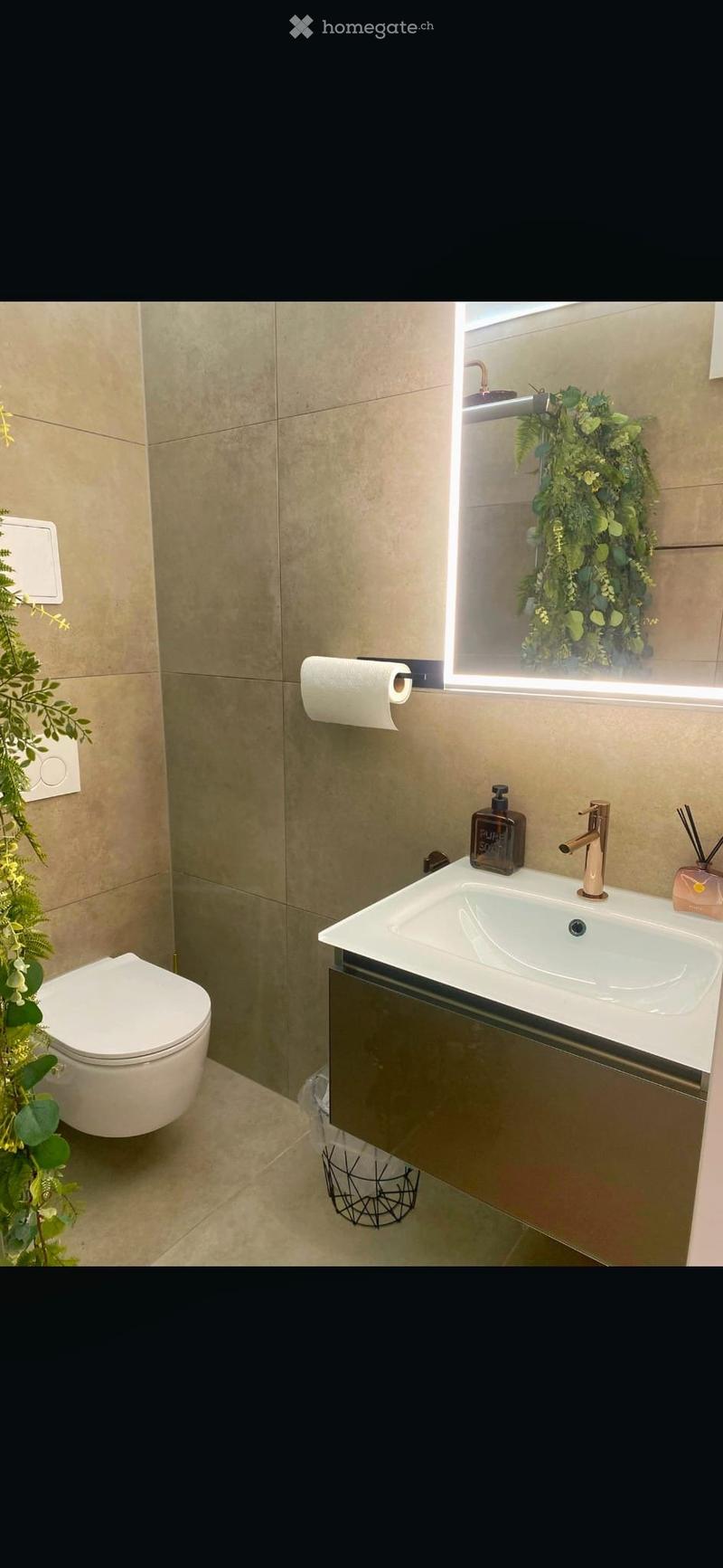 Modern bathroom with a white toilet, a white sink with a chrome faucet, a soap dispenser, a toilet paper holder, a large mirror with a decorative plant, and a small black wire basket on the floor.