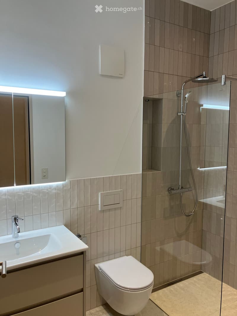 Modern bathroom with a white sink, mirror, toilet, and glass-enclosed shower with a handheld showerhead.