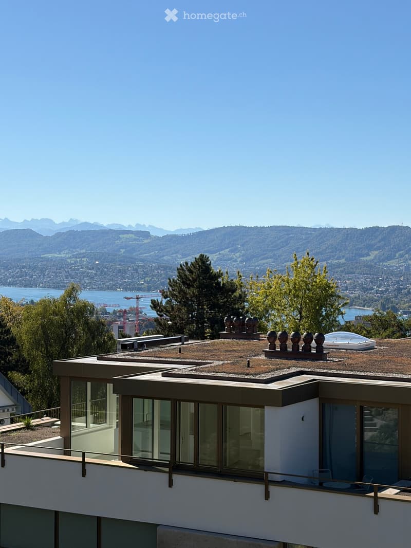 Modern building with large glass windows and a flat roof, surrounded by trees and offering a scenic view of mountains and a lake in the distance.