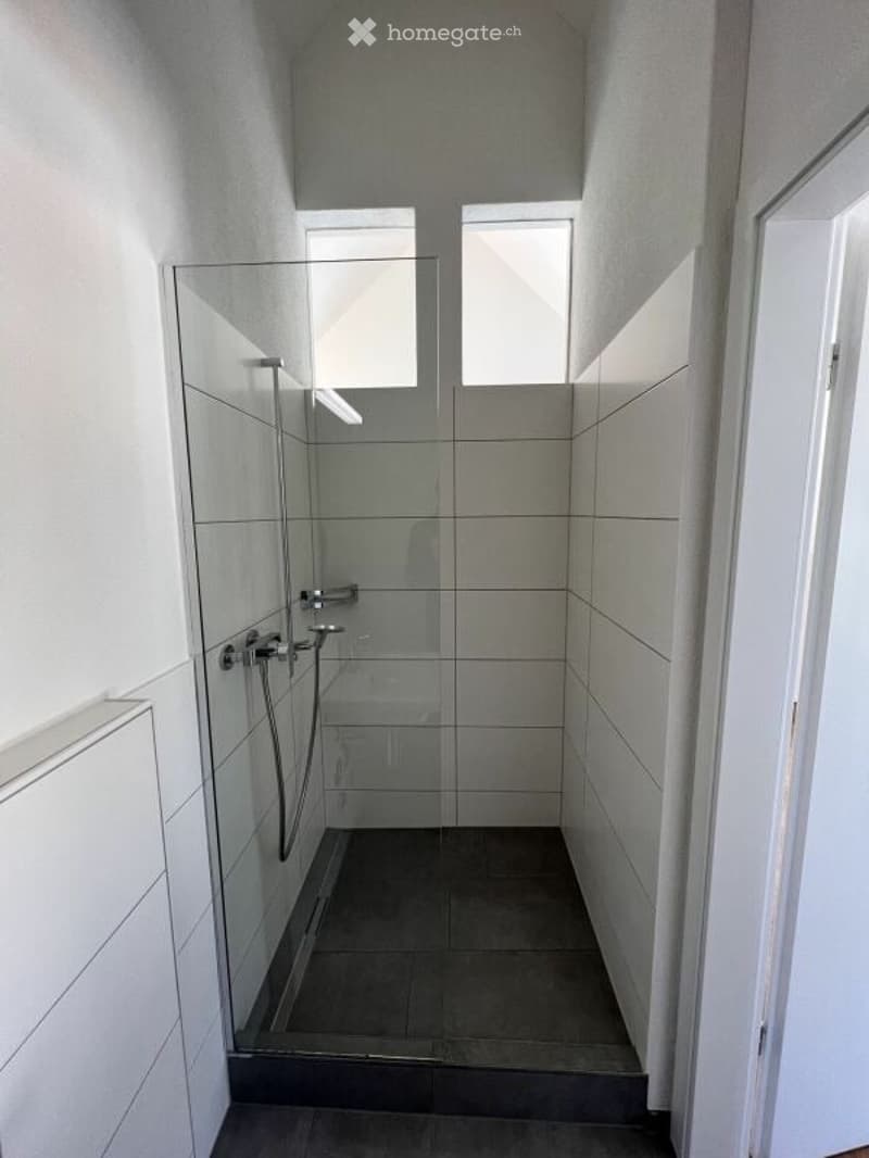 Modern bathroom with a glass-enclosed shower stall, dark tiled floor, and white tiled walls.
