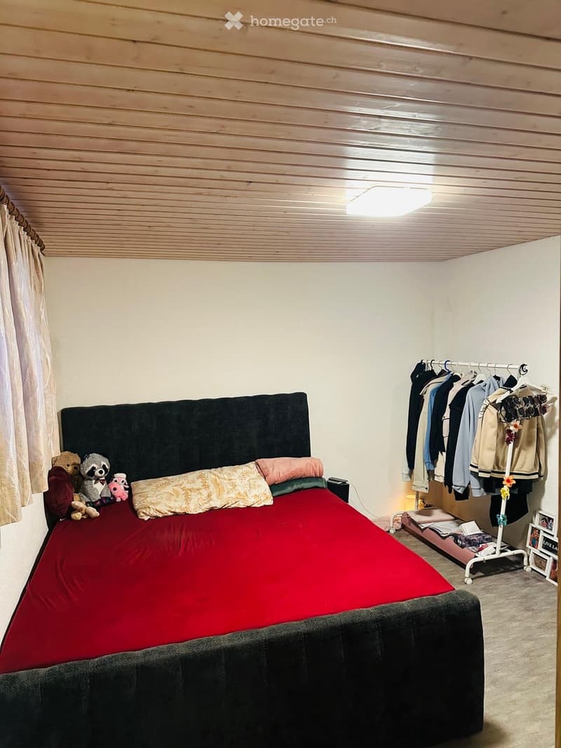 Cozy bedroom with a large bed, headboard, pillows, and stuffed toys on the bed. A clothing rack with hanging clothes is visible, along with a nightstand and lamp.