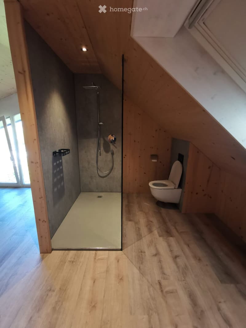 Modern bathroom with wooden flooring, a glass-enclosed shower, and a toilet. The shower features a handheld sprayer and a built-in shelf. The room has exposed wooden beams on the ceiling and large windows allowing natural light.