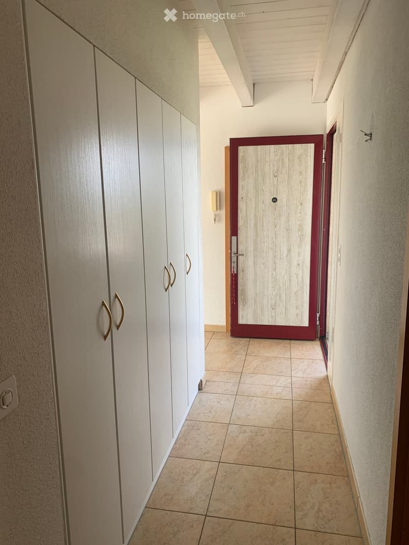 Clean hallway with tiled floor, white built-in cabinets on one side, and a wooden door at the end.