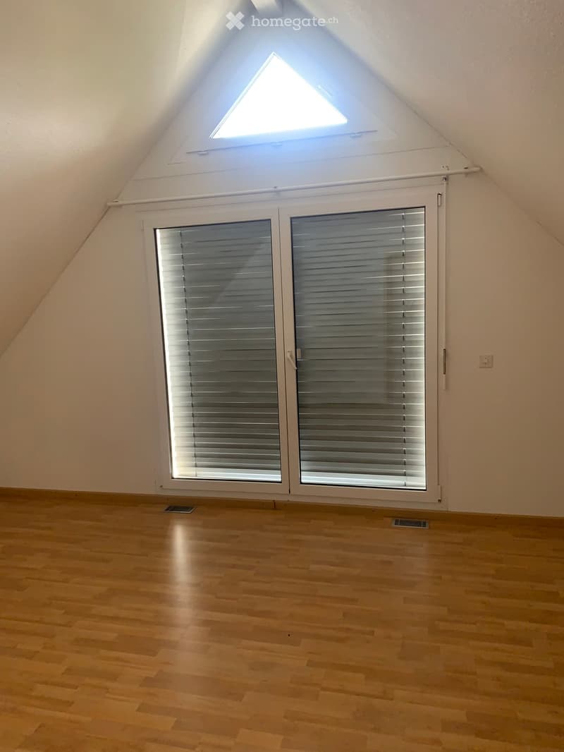Empty attic room with wooden flooring, large skylight, and double doors with blinds.