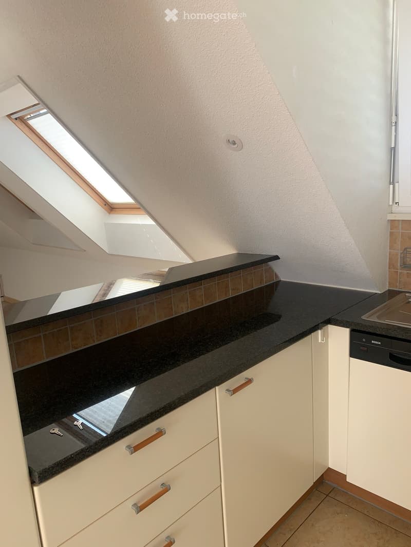 Modern kitchen with white cabinets, black granite countertop, and a Bosch dishwasher. Features a skylight window above the counter.