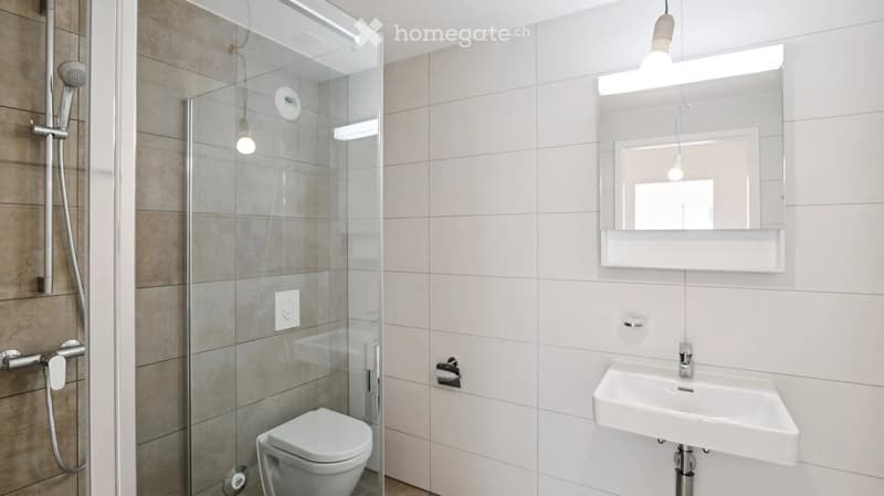 Modern bathroom with a glass-enclosed shower, toilet, sink, and mirror with built-in lighting.