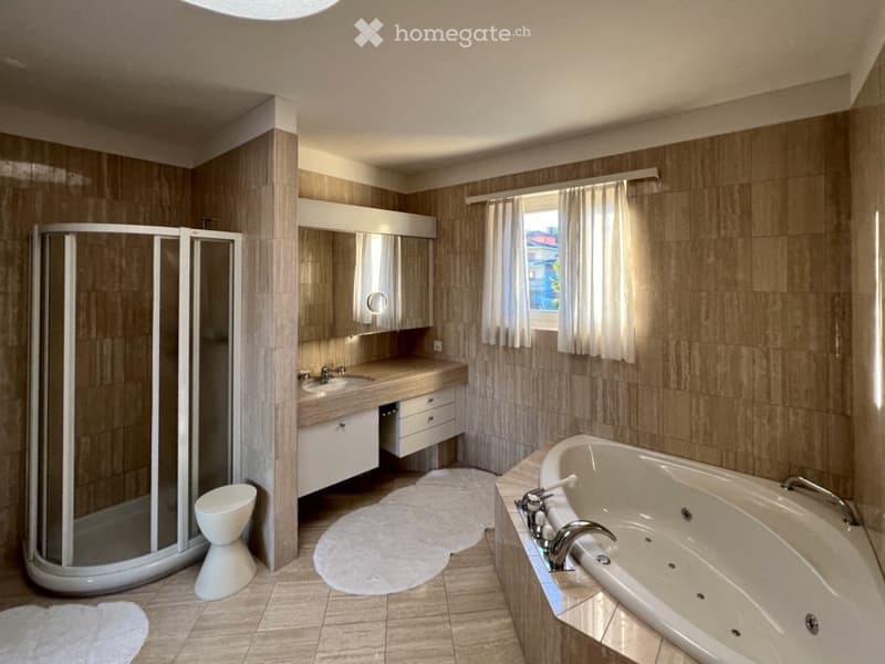 Modern bathroom with a large bathtub, toilet, sink, and shower stall. Features a large mirror above the sink, a bathroom cabinet, and a white rug on the floor.