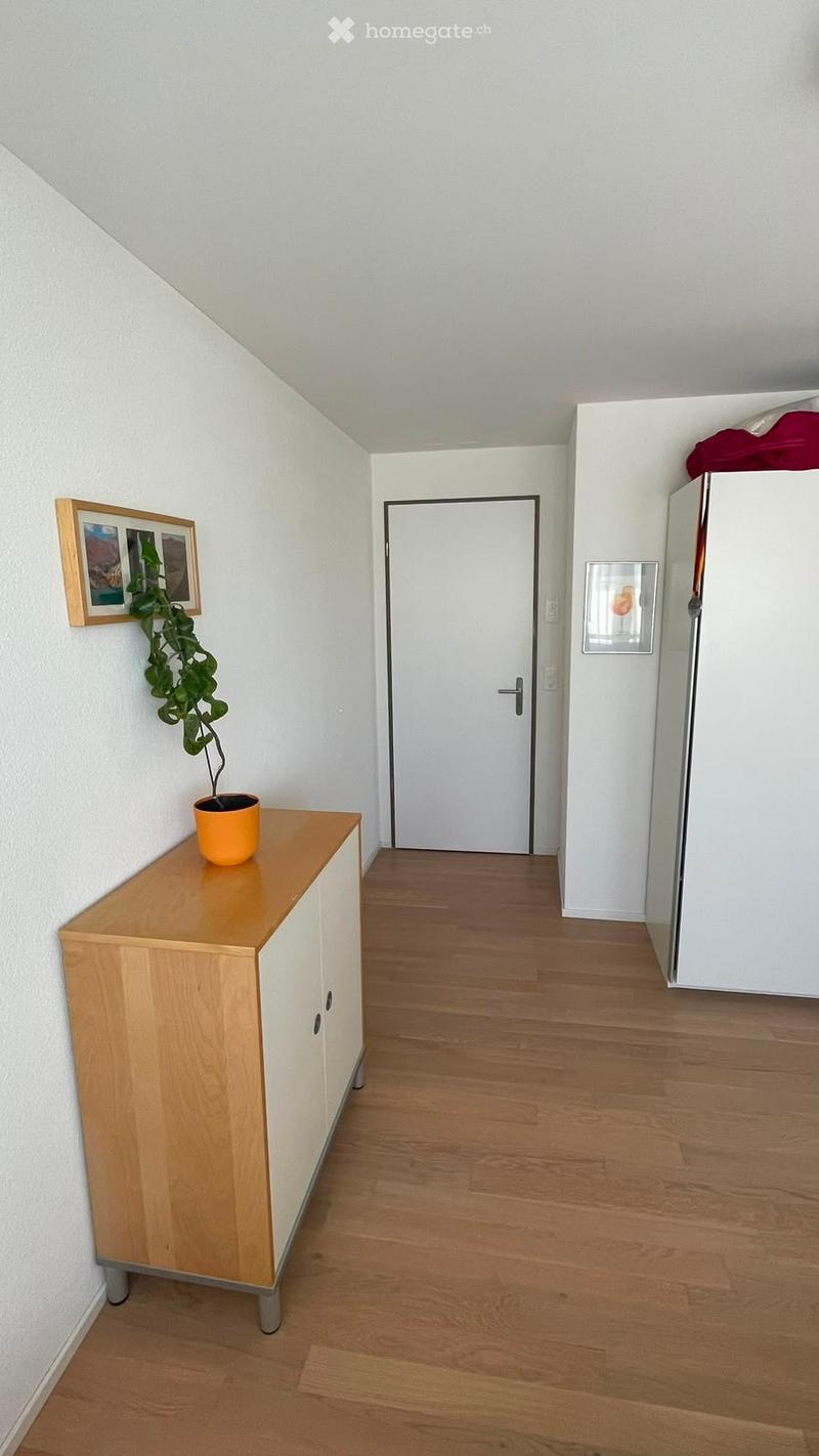 A narrow hallway with wooden flooring, white walls, and a small wooden cabinet with a potted plant on top. A closed door is visible at the end of the hallway.