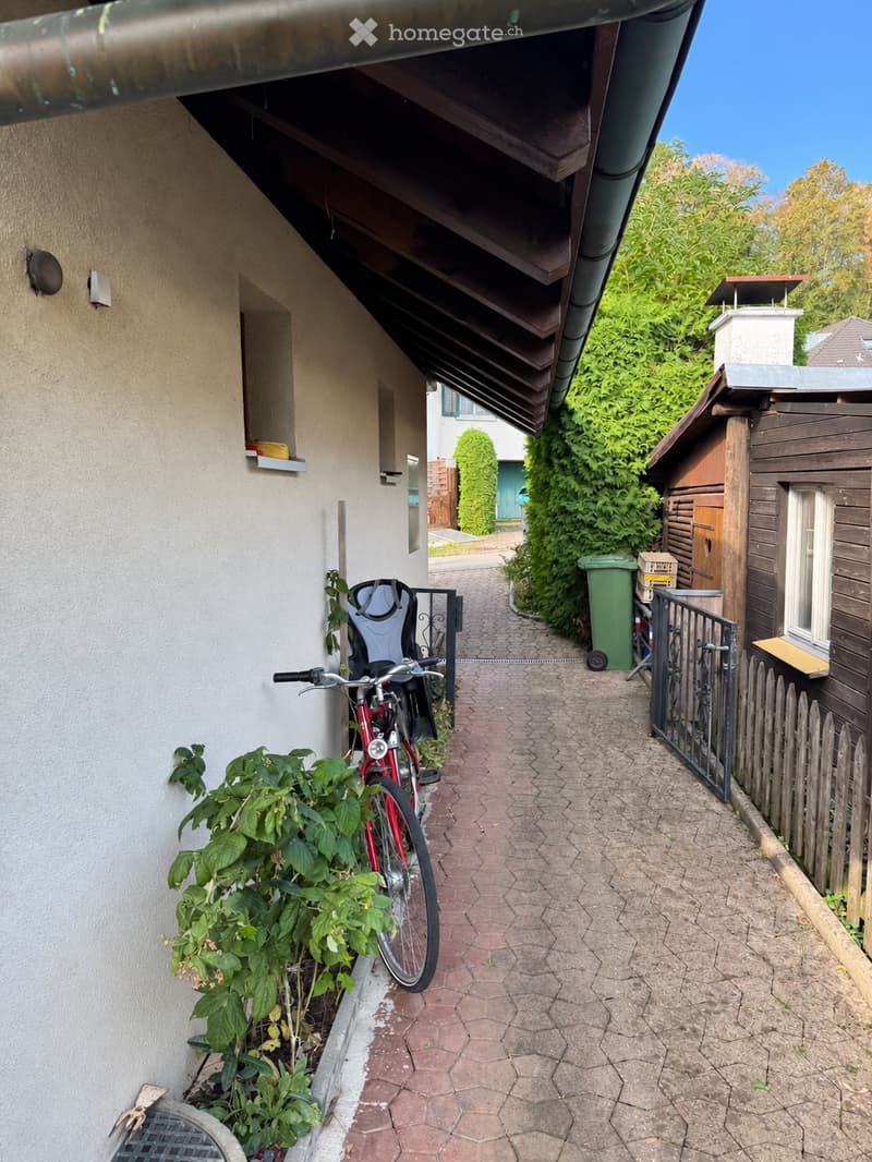 A narrow, paved pathway leads to a small wooden shed. A bicycle is parked near a wall with a small garden area. The pathway is bordered by a wooden fence and lush greenery.