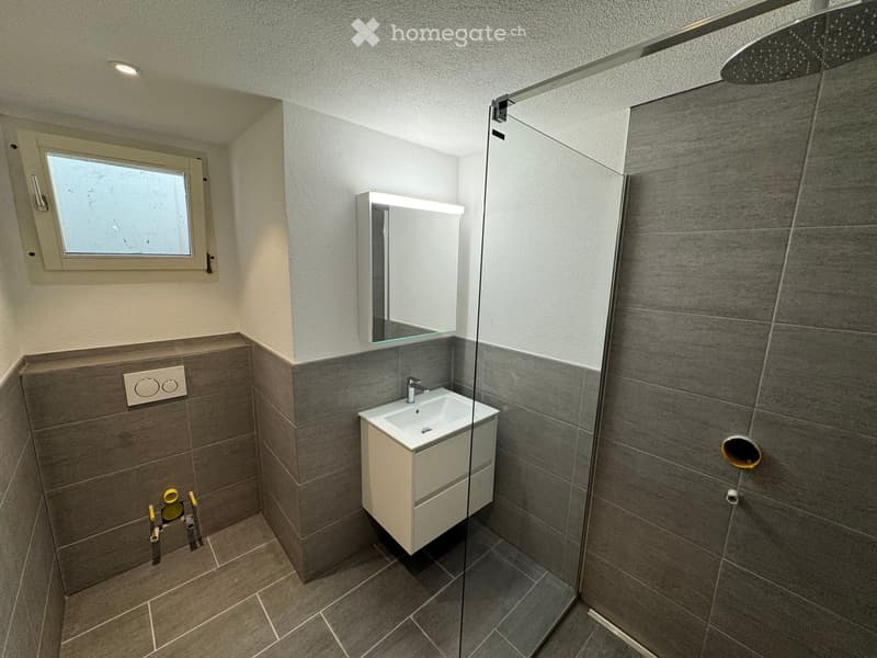 Modern bathroom with a white sink, mirror, glass shower enclosure, and grey tiled walls and floor.