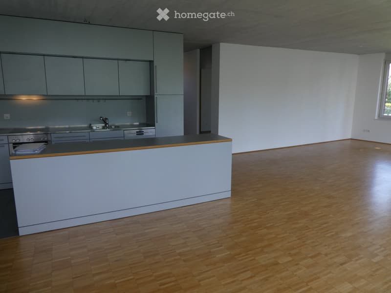 The image shows a modern, open-plan living space with a kitchen area and a larger living/dining area. The kitchen features sleek, gray cabinets and a wooden countertop. A dishwasher is visible in the kitchen. The living area has a hardwood floor and a lar
