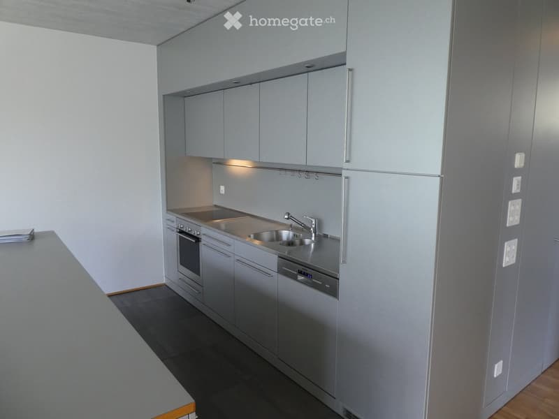 Modern kitchen with grey cabinets, stainless steel appliances including a dishwasher, and a sink with a faucet.
