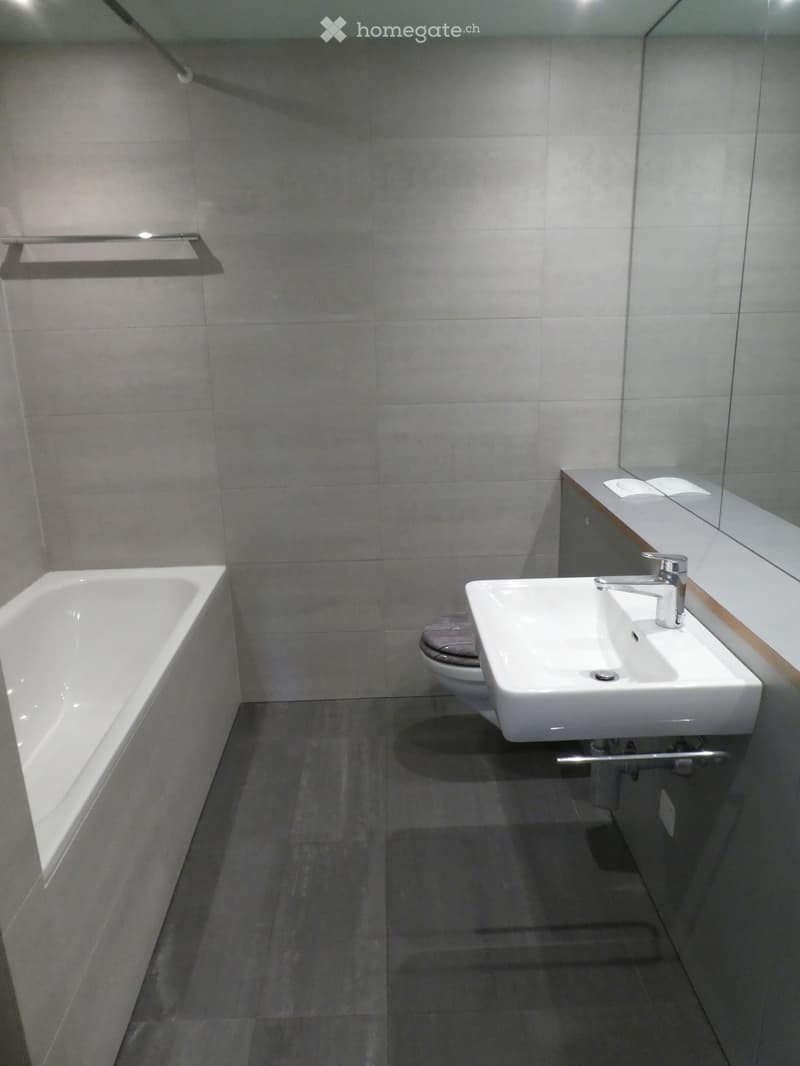 Large bathroom with grey tile walls and floors, a white bathtub, a white sink vanity, and a toilet. The room appears to have a private washing machine installed.