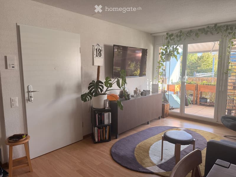 Living room with wooden flooring, large window, sofa, small table, and decorative plants.
