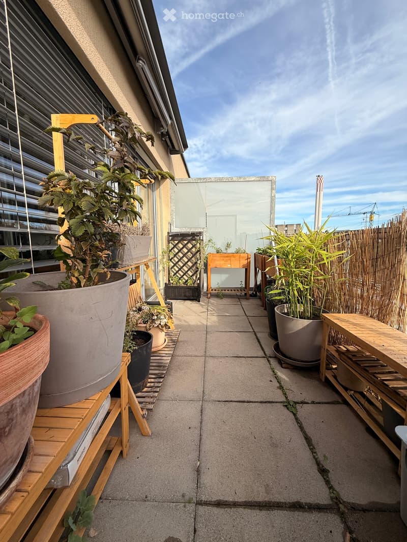Balcony with potted plants, wooden shelves, and a view of the city skyline.