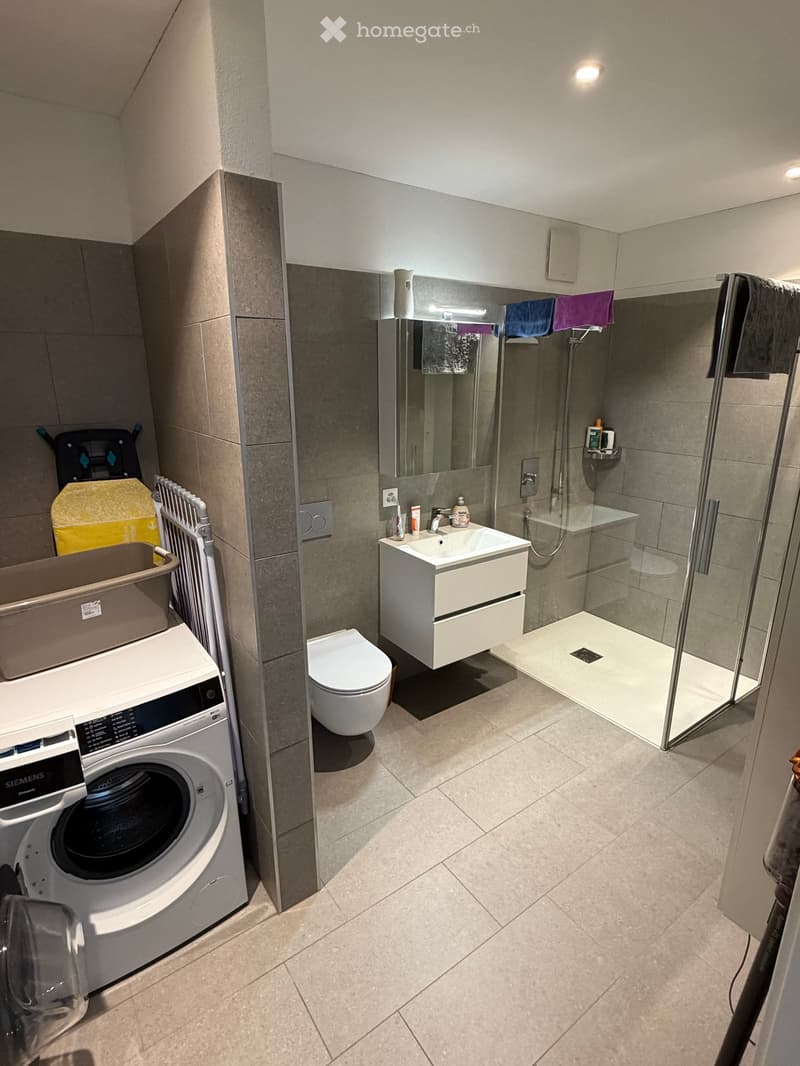 Modern bathroom with a toilet, sink, mirror, glass-enclosed shower, and a private washing machine. Towels are hanging on the side.
