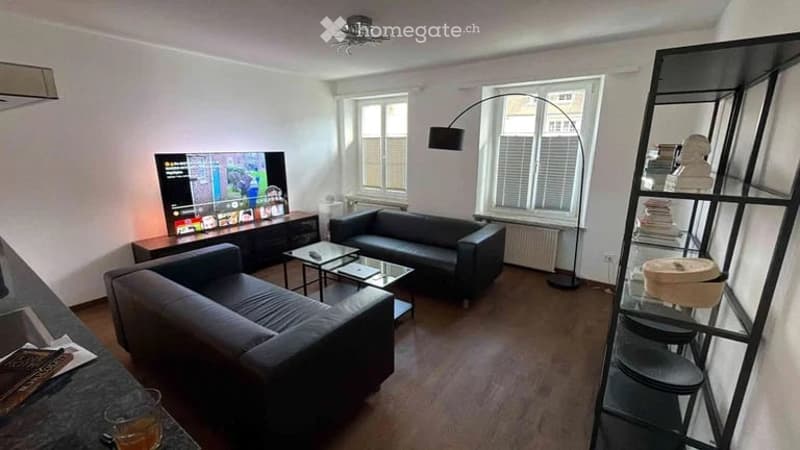 Modern living room with dark-colored sofas, a coffee table, a TV stand, and a floor lamp. The room features large windows and wooden flooring.