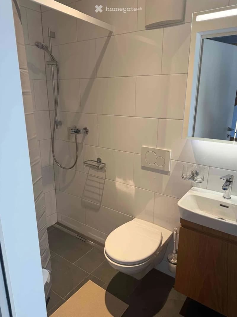 Modern bathroom with white tiles, a toilet, a sink with a mirror, a shower, and a towel rack.