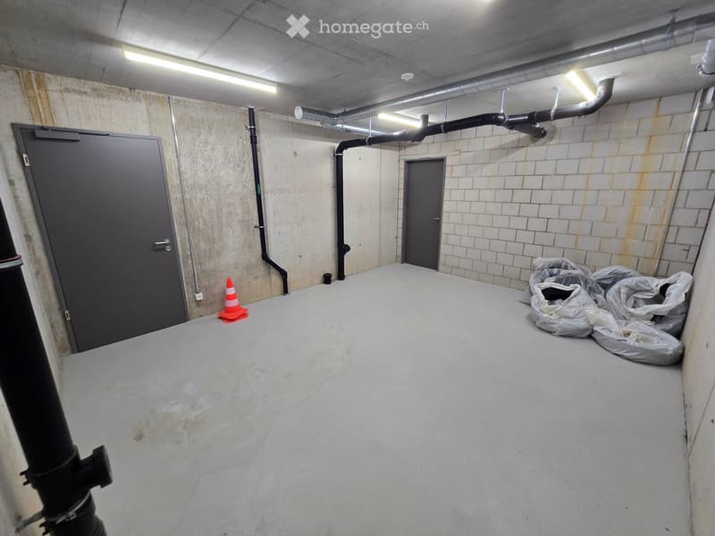 Empty basement space with concrete floors, exposed pipes, and two doors. Plastic bags and a traffic cone are present.