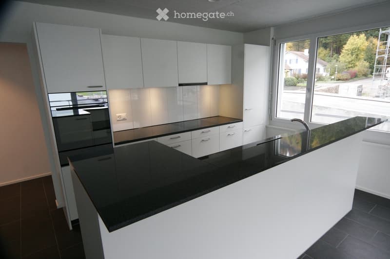 modern kitchen, white cabinets, black granite countertop, integrated oven and dishwasher, washing machine