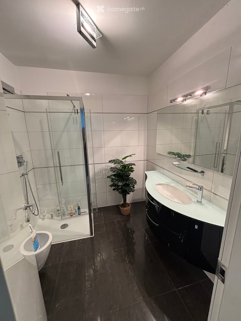 Glass shower, white sink, tiled floor, silver faucet, illuminated mirror, potted plant, white toilet, ceiling lamp