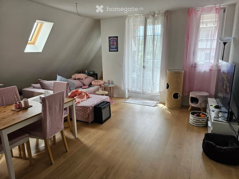A cozy, well-lit room with a bed, sofa, dining table, chairs, cat furniture, and a TV screen. The room features wooden flooring, large windows with sheer curtains, and a skylight.