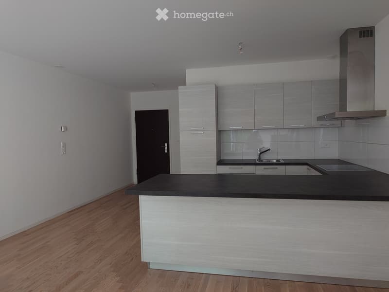 Modern kitchen with light grey cabinets, black countertop, wooden flooring, and stainless steel sink.