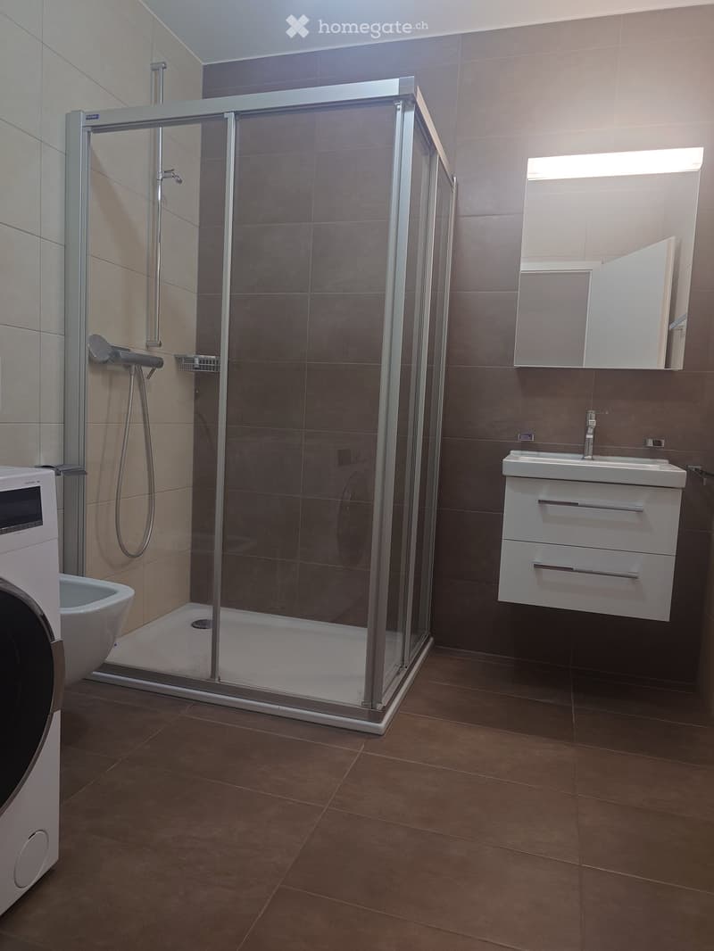 Modern bathroom with a glass-enclosed shower, a white sink with a mirrored cabinet, and a washing machine. The walls are tiled in neutral tones, and the floor is covered with brown tiles.