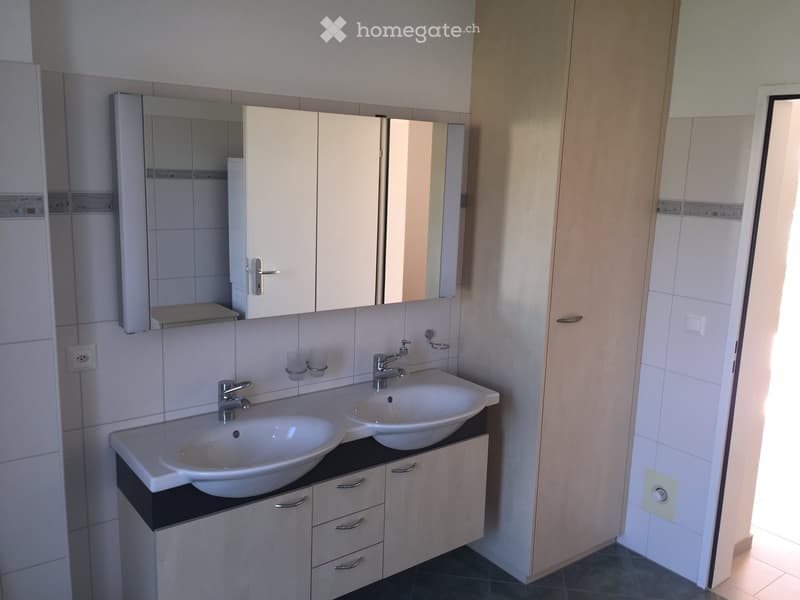 Modern bathroom with two white sinks, a large mirror, and built-in cabinets.