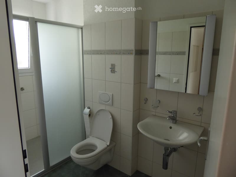 Modern bathroom with white tiles, a toilet, a sink, a mirror cabinet, and a window providing natural light.