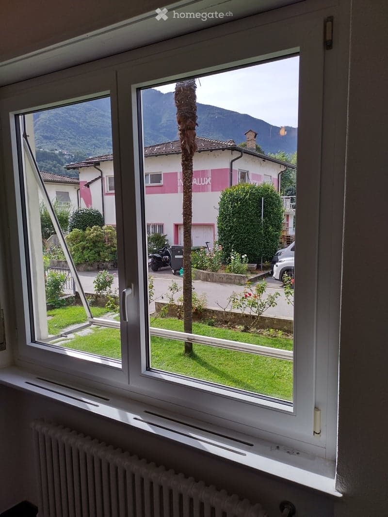 View from a window showing a garden, palm tree, and distant mountains.