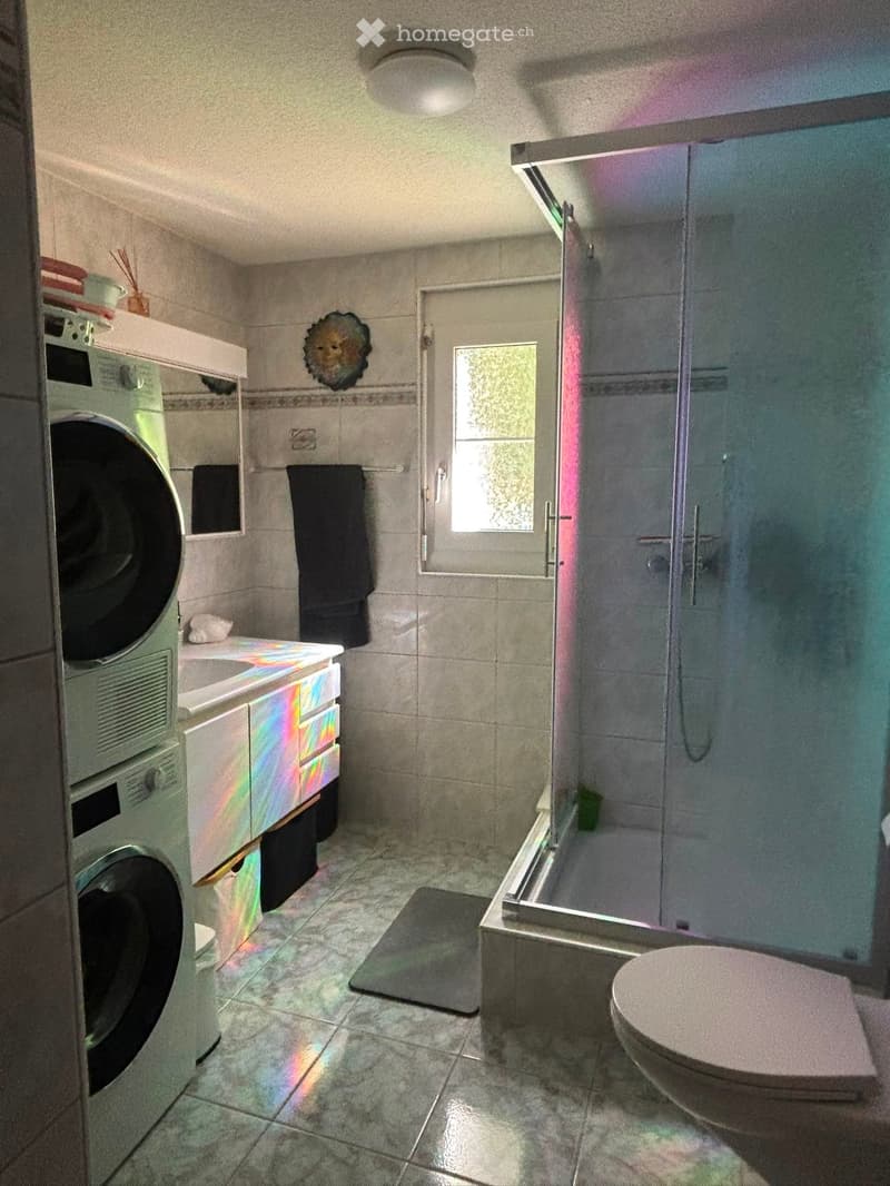 Bathroom with a toilet, shower, washing machine, sink, and towels.