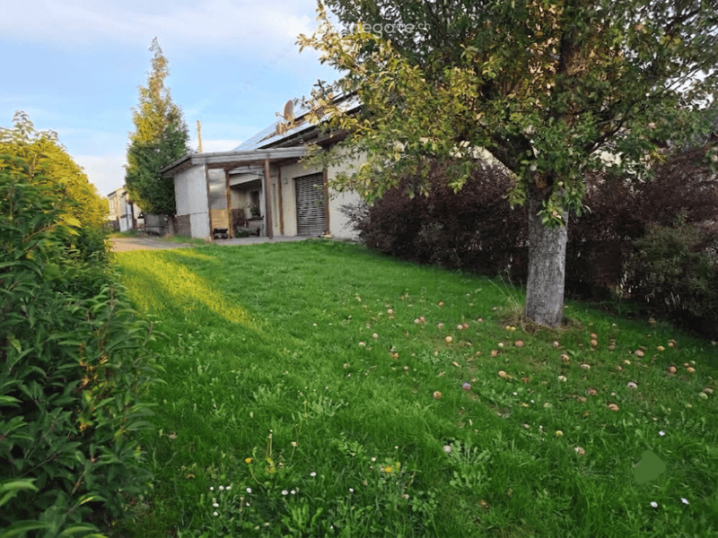 Lush green garden with a small house, trees, and a driveway.