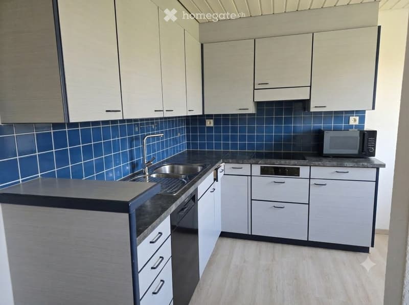 Modern kitchen with white cabinets, blue tiled backsplash, black countertops, and stainless steel sink.