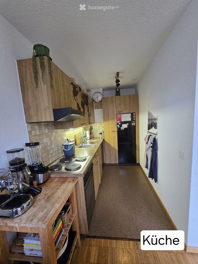 Modern kitchen with wooden cabinets, induction stove, coffee maker, blender, sink, refrigerator, knife rack, and a small table with books and a potted plant on top.