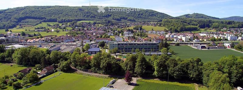 Aerial view of a town with residential buildings, green fields, and a mountainous backdrop.