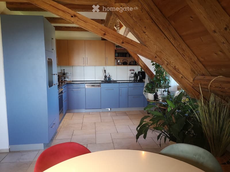 Modern kitchen with wooden beams, blue cabinets, and a dining area with a table and chairs. Includes various appliances and a potted plant.