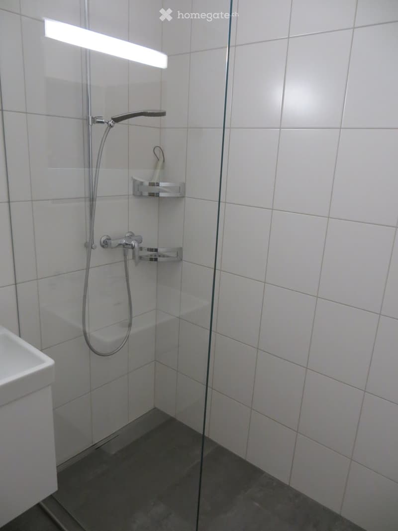 Modern shower area with white tiled walls, glass enclosure, and a handheld showerhead with a chrome faucet and controls.