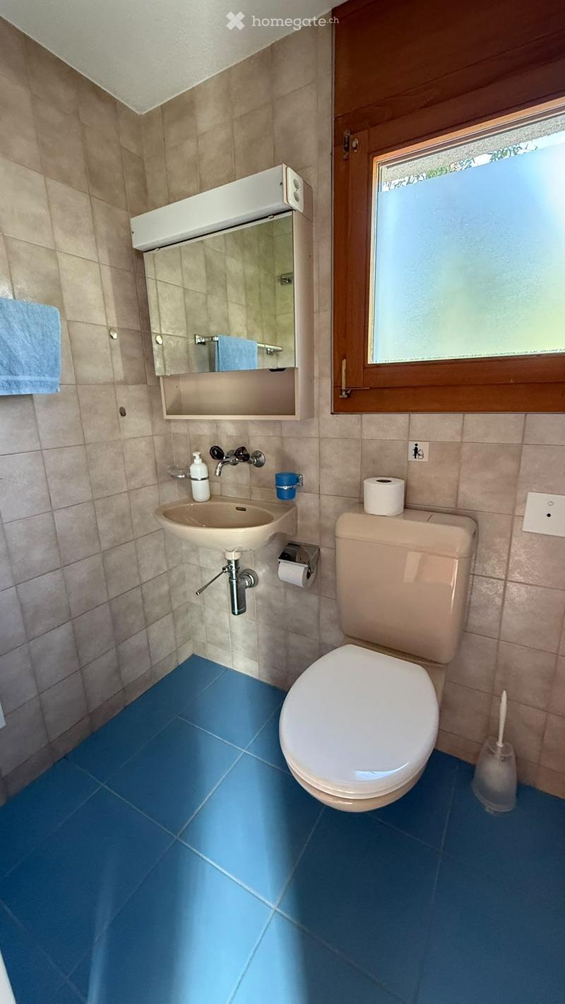 A small bathroom with a toilet, sink, mirror, and blue tiles on the floor.