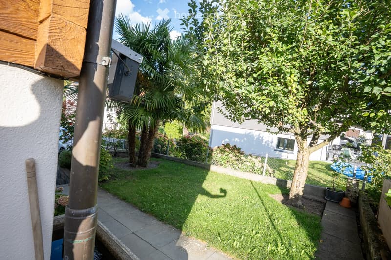A small, well-maintained garden with a concrete pathway, green grass, trees, and potted plants. The area is enclosed by a low wall and features a view of neighboring houses and a driveway.