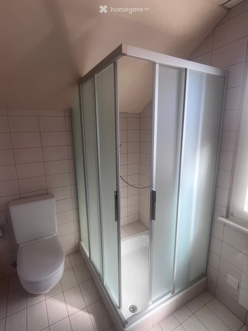 Modern bathroom with a white toilet, tiled walls, and a glass-enclosed shower stall.