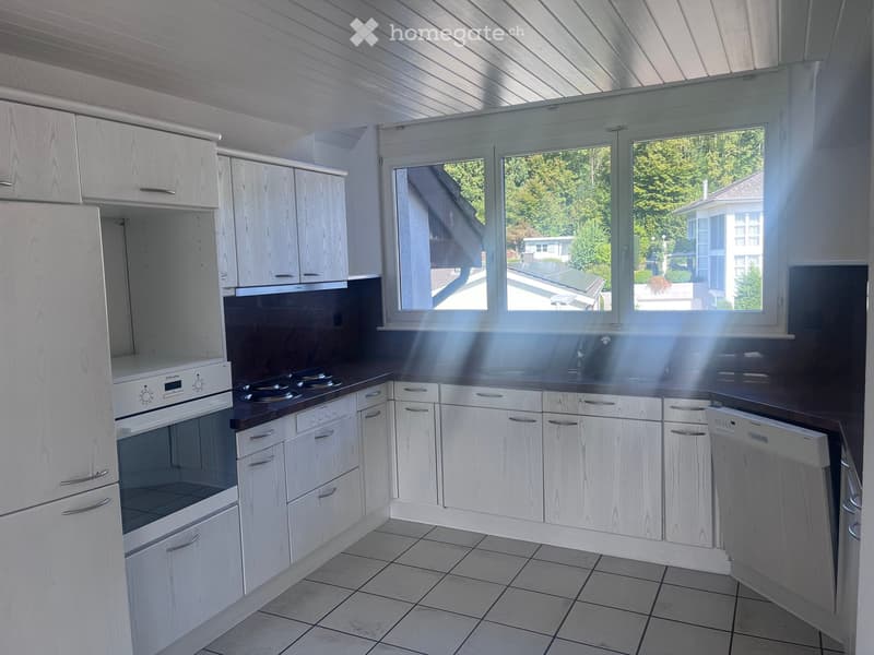 Modern kitchen with white cabinets, stainless steel appliances, and large windows overlooking a green area.