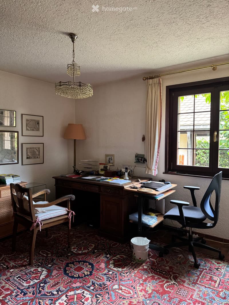 A well-furnished study or office space with a wooden desk, ergonomic chair, chandelier, floor lamp, and framed artwork on the walls. The room features a patterned carpet and large windows with curtains.