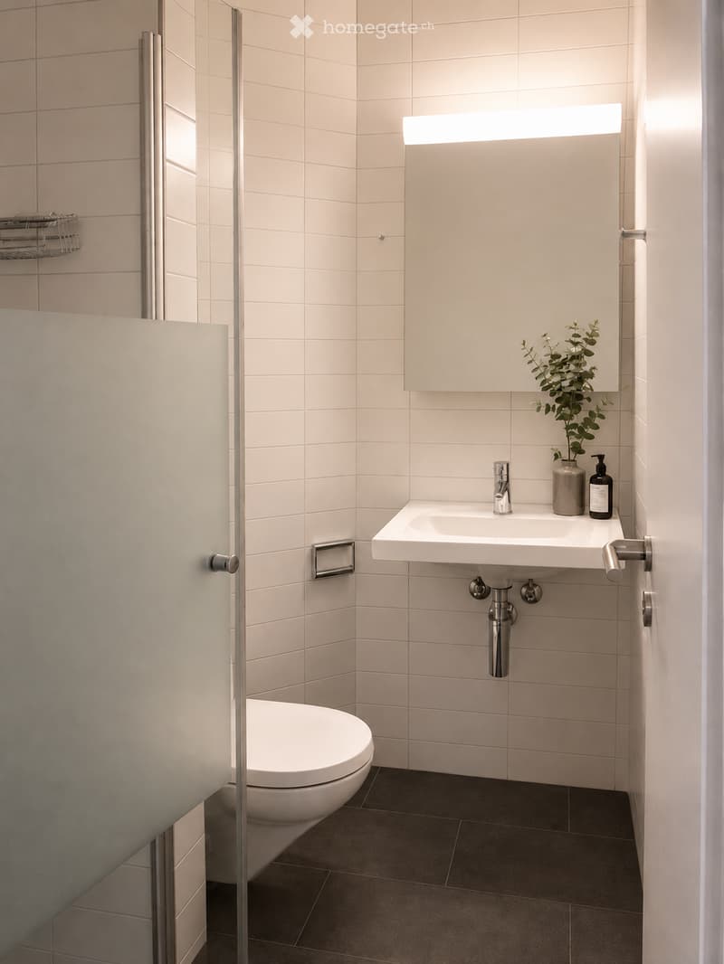 Modern bathroom with white tiles, a toilet, a sink with a chrome faucet, a mirror with a built-in light, and a small decorative plant on the sink counter.