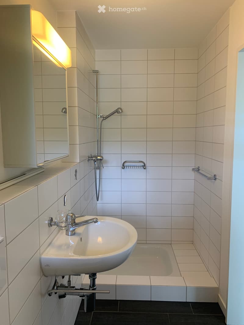 Modern bathroom with white tiled walls, a white sink with a chrome faucet, a shower area with a handheld showerhead, and built-in storage cabinets.