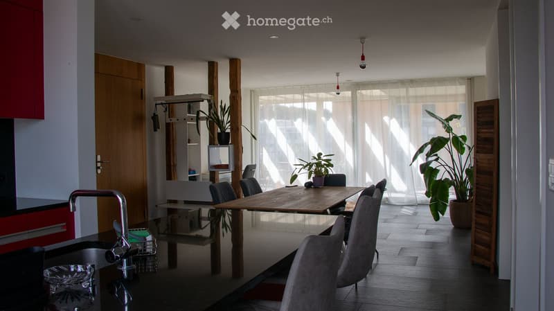 Open-plan living and dining area with a wooden dining table, chairs, a sink with a modern faucet, red cabinets, and potted plants near large windows.