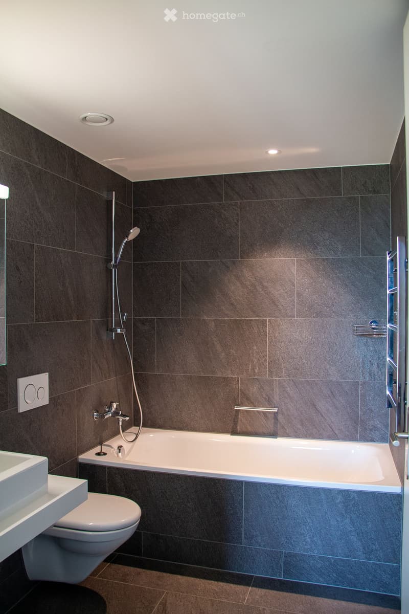 Modern bathroom with dark tiled walls, a bathtub, toilet, sink, and a showerhead with handheld sprayer.
