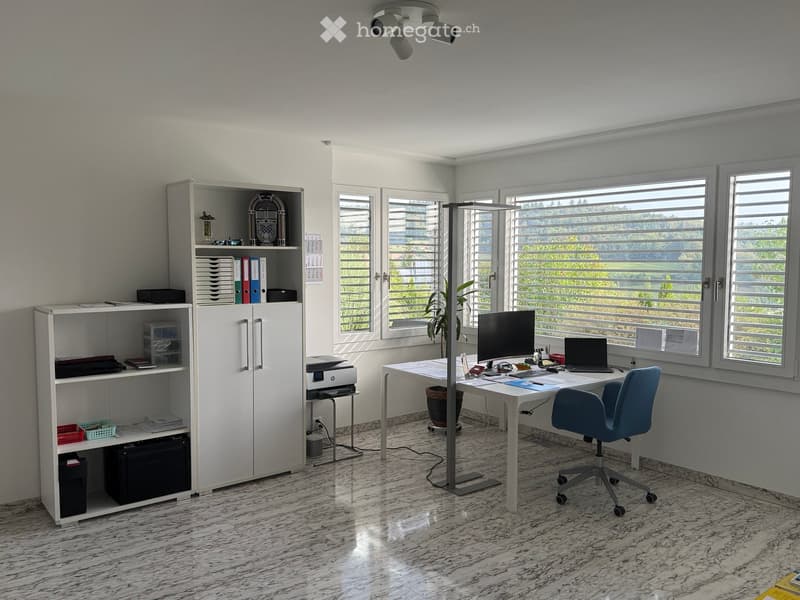Modern office space with a white desk, ergonomic chair, laptop, monitor, and a tall floor lamp. Shelving units hold binders, a printer, and decorative items. Large windows offer a view of greenery outside.