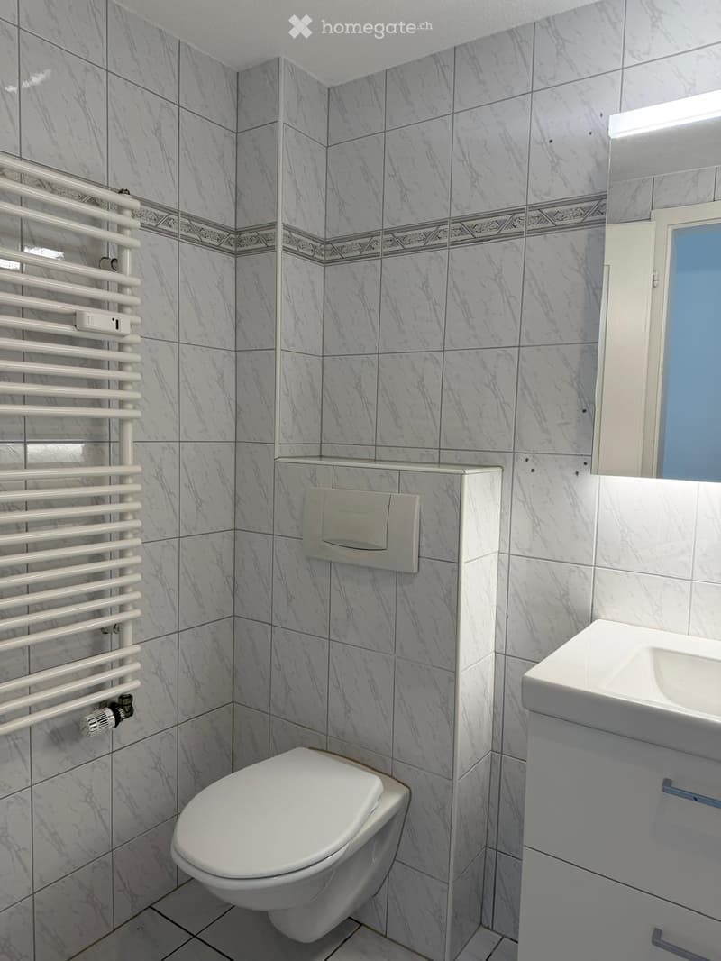 Modern bathroom with marble tiles, white radiator, toilet, and sink.